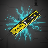 PUSKILL DDR5 8GB 16GB 32GB 4800MHz 5200MHz 5600MHz ECC RAM Memory for Gaming Desktop Computer in Stock