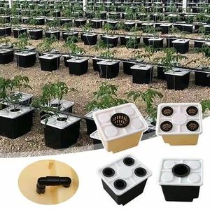 Sistema di coltivazione idroponico in plastica secchio/<span class=keywords><strong>Bato</strong></span>/barile olandese - Product Image 1