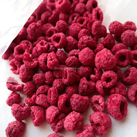Offre Spéciale Pas Cher Sain Lyophilisé Framboise Poudre Instantané Jus Boisson Source Usine En Gros