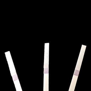 Kit de test rapide d'antigène de relaxine canine bandelettes de test vétérinaires pour l'<span class=keywords><strong>analyse</strong></span> de la santé canine - Product Image 6