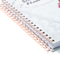 Journal personnalisé à couverture rigide imprimé en spirale Planificateur de budget pour épargner richesse et finances Boîte cadeau pour cahiers quotidiens Défi bien-être