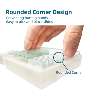 Lámina de Preparación Histopatológica para Muestras de Tejido Humano, Preparación de Muestras Médicas y Geológicas - Product Image 4