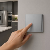 Série HW 16A 250V Interrupteur mural intelligent en verre PC durable, unipolaire, bornes à connexion rapide, design moderne de luxe, utilisation domestique UE