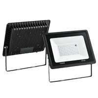 Projecteur LED RGBW AC85-265V 100W à changement de couleur, étanche IP66, avec télécommande pour jardin, villa, Noël