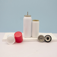 Bombe aérosol vide en aluminium de 250 ml pour recharge de gaz, emballage de bouteille pulvérisateur en aluminium pour recharge de gaz, emballage de briquet