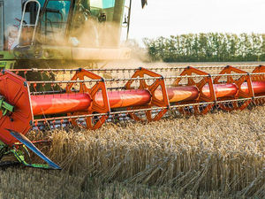 Cosechadora <span class=keywords><strong>de</strong></span> alimentación completa <span class=keywords><strong>de</strong></span> arroz <span class=keywords><strong>de</strong></span> cosecha pequeña 100HP GF38 con lista <span class=keywords><strong>de</strong></span> precios - Product Image 5