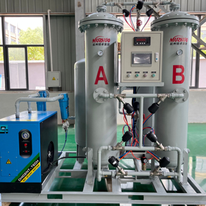 NUZHUO Hochreine <span class=keywords><strong>PSA</strong></span>-Stickstoff einheit 3 m3/H <span class=keywords><strong>PSA</strong></span>-Stickstoff anlage für den industriellen Einsatz N2-Gasgenerator - Product Image 1