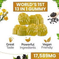 Gummies de mousse de mer 13-en-1 : Complément immunitaire et énergétique minéral avec Shilajit, gingembre, Ashwagandha, huile de nigelle