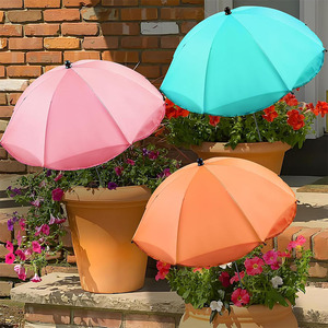 50 Pcs <span class=keywords><strong>Parapluie</strong></span> de protection contre la pluie pour plantes Fournir un pare-soleil pour les plantes de balcon de cour - Product Image 3