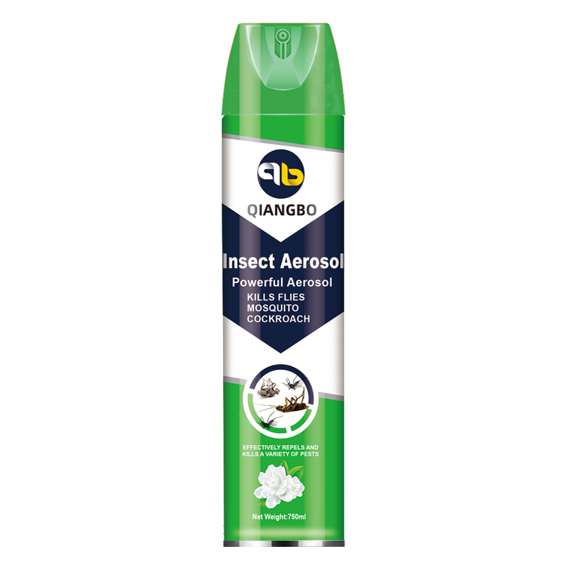 Hot Sale Eco Friendly Aerosol Pesticide