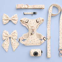 Harnais pour chiens personnalisés, colliers et laisses réglables, ensemble brodé en velours côtelé, harnais anti-traction pour chien