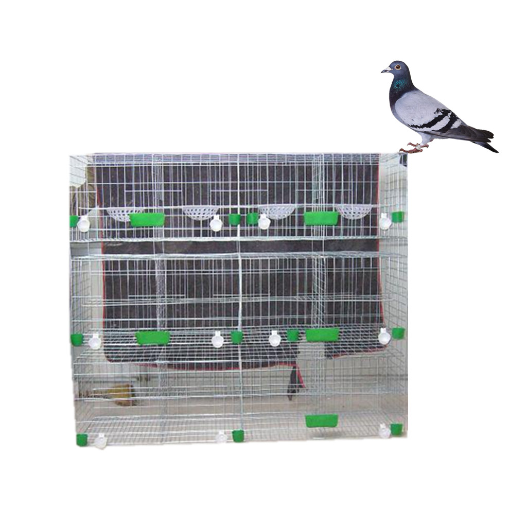 養鶏場用レース鳩ケージ/鳩レース/鳩小屋| Alibaba.com