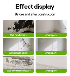 <span class=keywords><strong>Enduit</strong></span> de réparation anti-graffiti imperméable et résistant à la moisissure à finition lisse, mastic acrylique pour murs intérieurs - Product Image 6