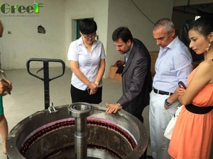 Generador Hidroeléctrico de 100 KW y 250 RPM de Baja Velocidad y Alta Potencia para Proyectos Fluviales - Product Image 3