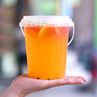 Aanpasbare wegwerp plastic bakjes van 32 ounce, transparant, voor melkthee/fruit, met logo, deksels en rietjes