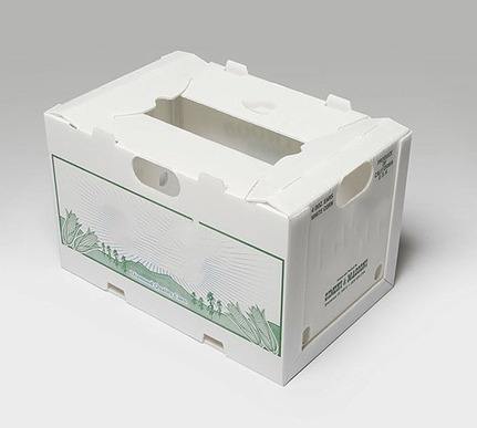 Wholesale Plastic PP Boxes for Vegetables Custom Cutting Processing Available