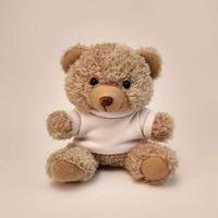 Faible MOQ, porte-clés ours en peluche personnalisé de 10 cm avec logo, t-shirt, breloque de sac en peluche, cadeau pour les promotions, sac à dos pour enfants, cadeaux de fête
