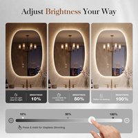 Miroir de salle de bain LED ovale irrégulier avec éclairage rétroéclairé, anti-buée, commande tactile, miroir de vanité intelligent pour la rénovation d'hôtels