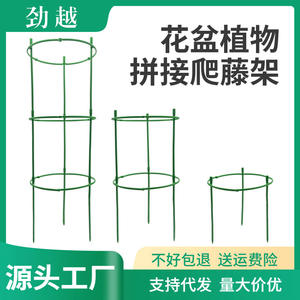 Anneau et tige de support en plastique pour fleurs, 17,5 cm x 5,5 cm, 20 cm x 0,5 cm, pour treillis de plantes grimpantes d'intérieur et d'extérieur - Product Image 5