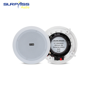 ลำโพงติดเพดานอัจฉริยะ WF690 6*40W พร้อม WiFi & สำหรับตัวเลือกที่ประหยัดแบบไร้สาย SP-WF690ลำโพงติดเพดานอัจฉริยะขนาด40W SP-WF690 SP-WF69 - Product Image 3