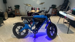 Vintage Long Range Bike 750w Brushless Motor 7-speed City Magnesium Frame Lithium Battery M1 with Lights Rear - Product Image 4