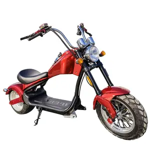 Nzita X12 neues EEC exklusives Modell elektrisches neues Modell Offroad Motorrad Steh roller