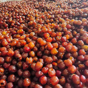 อบแห้งนุ่มแห้งวันที่หวานเก็บรักษาผลไม้ - Product Image 3