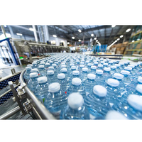 Chaîne de Production Complète pour Remplissage Automatique et Bouchage de Petites Bouteilles d'Eau pour Usine Clé en Main