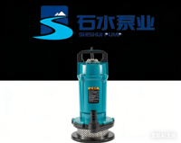 Pompe de vidange submersible QDX avec interrupteur à flotteur, pompe automatique pour eau claire, idéale pour le drainage des sous-sols, caves et piscines