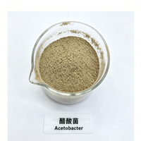 Acetobacter 10 milliards UFC/g Culture de démarrage pour la fermentation acétique Poudre de bactéries acides pour la fabrication de vinaigre comestible fermenté
