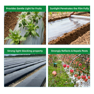 Film <span class=keywords><strong>de</strong></span> paillage noir anti-mauvaises herbes Hengrun, résistant aux UV, en plastique agricole, pour la suppression des adventices et la culture <span class=keywords><strong>de</strong></span> légumes - Product Image 2