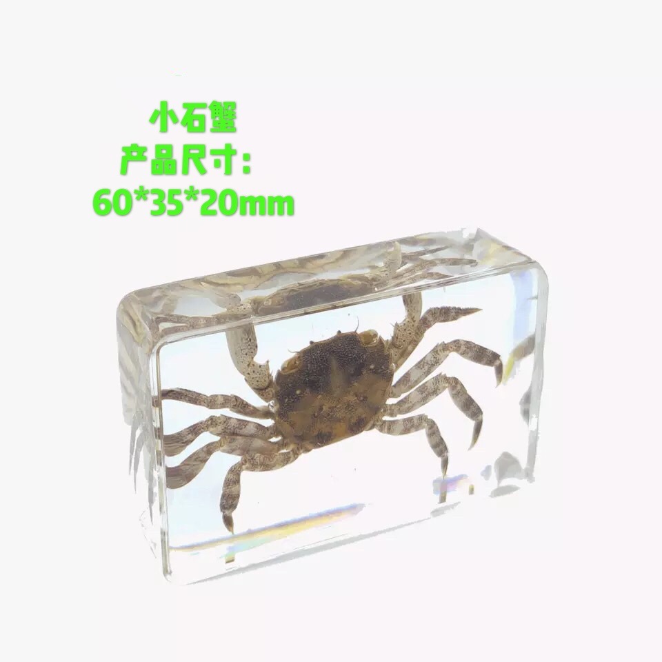 Sp small crab-442916mm