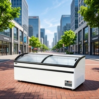 Vitrine Réfrigérée Commerciale pour Supermarché, Grande Capacité, Plateau en Verre Courbé, pour Gelato et Crème Glacée, Sans Givre, Numérique