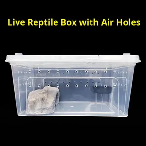 Cao trong suốt nhự<span class=keywords><strong>a</strong></span> bò sát vật nuôi chăn nuôi hộp cho nhện thằn lằn tắc kè hamster rắn rù<span class=keywords><strong>a</strong></span> Bọ Cánh Cứng vị thành niên hình chữ nhật - Product Image 3