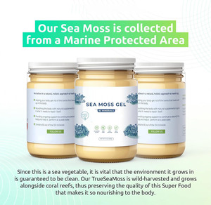 Sea <strong>Moss</strong> Gel With 92 Minerals Wildcrafted Irish <strong>Moss</strong> for Thyroid Support Immune Health Digestive Wellness and Energy - Product Image 4