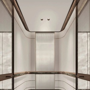 Ascensor Residencial Hidráulico Moderno de Acero Inoxidable Personalizado de 2-5 Pisos, Capacidad de 400 kg, Seguro y Duradero para Uso en Interiores/Exteriores - Product Image 2