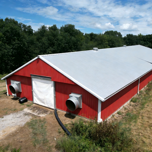 בית כלוב עוף שכבה אוטומטית בית עבור חוות עופות, חם לטבול מגולוון, גודל מותאם אישית זמין, משלוח מהיר - Product Image 4
