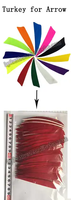 Plumes de flèche de tir à l'arc en plumes de dinde véritable, teintes, écologiques, pour le bricolage, accessoire de chasse et de tir sur cible