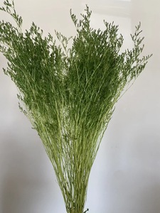 Fleur séchée en gros Statice Caspia, Herbe Brumeuse, Limonium Préservé, Lavande de Mer, Fleur séchée de Limonium pour Événements et Décoration de Mariage - Product Image 5