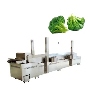 Commercial High Efficiency Vegetable And Fruit Blanching Equipment Blancher Machine For Potato Chips And French Fries