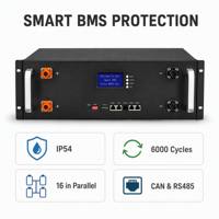 Baterai Rak LiFePO4 CD-SRB512100 51.2V 100Ah dengan BMS Pintar 6000 Siklus Terminal Tanpa Alat 5.12kWh Cadangan UPS Server Tenaga Surya