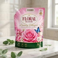 Pochette souple personnalisée pour lessive 1L 3L 5L, sachet à bec verseur haute barrière anti-humidité avec poignée