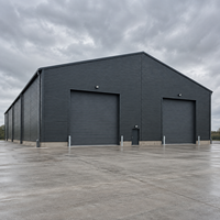 Atelier préfabriqué en structure métallique à pignon, conforme CE, entrepôt métallique, usine de fabrication industrielle