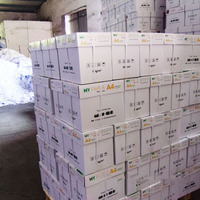 Papel A4 de Pulpa de Madera 100% de Marca OEM al por Mayor, Papel Bond de 80 g/m² para Copias, Doble Blanco, para Uso en Oficina