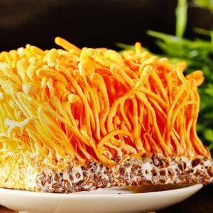 Extracto de Cordyceps Sinensis en Polvo de Alta Pureza, 10% Polisacáridos, para Aumentar la Energía, Apoyo Inmunológico y Pulmonar, Probado por HPLC - Product Image 2