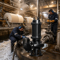 Pompe submersible en fonte à grand débit pour eaux usées, contrôle des inondations et drainage des plans d'eau et des fossés