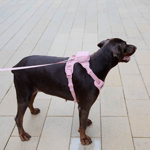 Arnés para perros Chaleco de malla para todo tipo de clima Arnés de chaleco Arnés de lujo para perros Perros pequeños y medianos por los mejores suministros para mascotas - Product Image 5