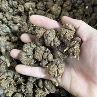 Huaran Grosir Maozhaocao Herbal Cina Ranunculus Ternatus Rumput Cakar Kucing Akar Buttercup Ternate Kering untuk Teh