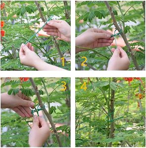 Hot Sale Multi-Use <strong>Rubber</strong> Plant <strong>Tree</strong> <strong>Tie</strong> Garden Adjustable Plant Twist <strong>Ties</strong> for Support Climbing Plants - Product Image 6