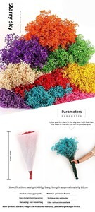 G180 Flores de Gypsophila Preservadas al por Mayor para Regalo de San Valentín, Flores Secas de Baby Breath, Baby Breath Preservado - Product Image 4